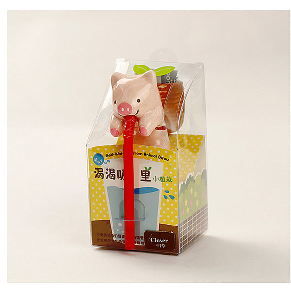 Creative Chuppon DIY Self Watering Animal Planter Flower Pot Mini Bonsai Plant Kit With Soil Seeds Indoor Desk Decorative Plants