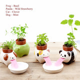 Ceramic Bonsai Animal Planter Cute Cultivation Peropon Drinking Animal Tougue Pot Self Watering Critters Garden Ornaments