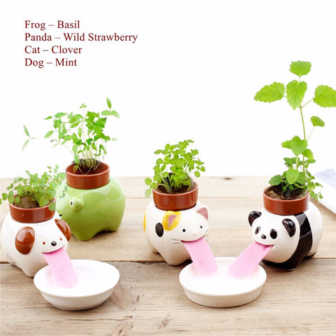 Ceramic Bonsai Animal Planter Cute Cultivation Peropon Drinking Animal Tougue Pot Self Watering Critters Garden Ornaments