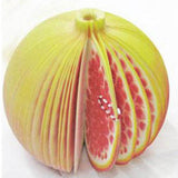 1set Cute Sticky notes Post it Creative DIY fruit Memo pads wall Stickers paper korean stationery Office Papelaria Supplies