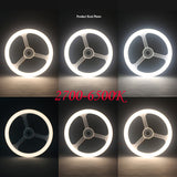 Annular Light