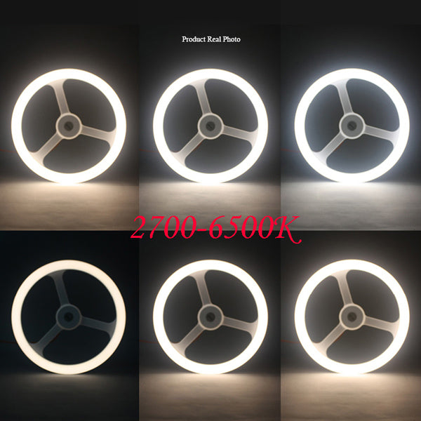 Annular Light