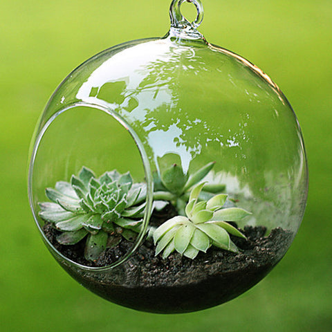 Fashion Transparent Clear Glass Round Terrarium Flower Plant Stand Hanging Vase Hydroponic Home Office Wedding Garden Decor